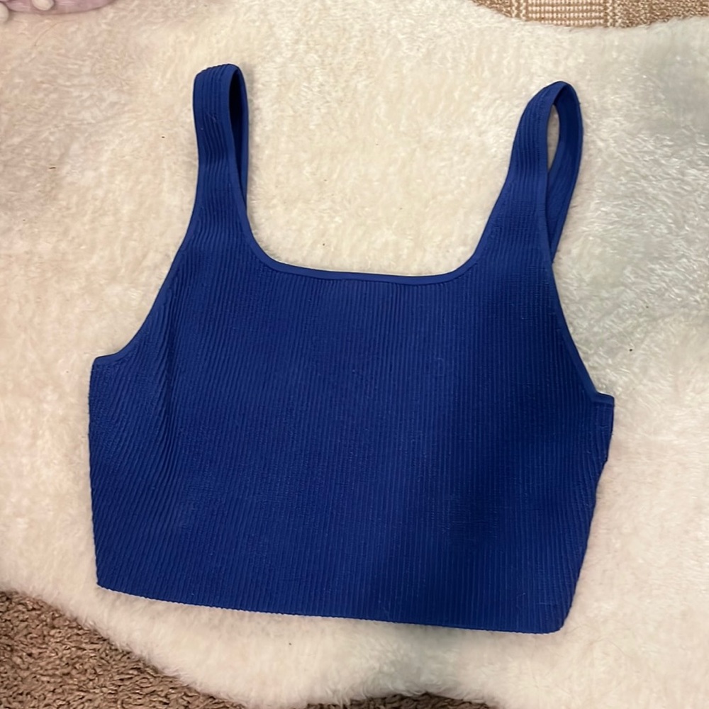 Babaton blue sculpt knit tank from aritzia